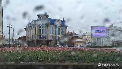 Дождь и гроза ожидаются в Томске во вторник - РИА Томск