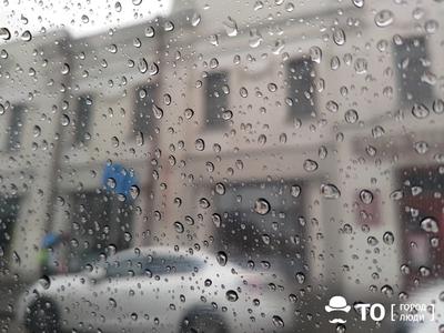 Дождь и +3 градуса ожидаются в Томске 18 ноября - KP.RU