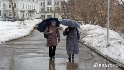 В Томске 28 июня будет дождь, гроза и до +22 градусов | АиФ-Томск | Дзен
