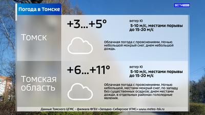 Первый весенний дождь ожидается в Томске уже на следующей неделе - РИА Томск
