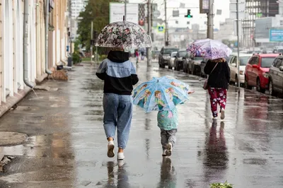 Гроза и дождь: в Томске опять испортилась погода - МК Томск