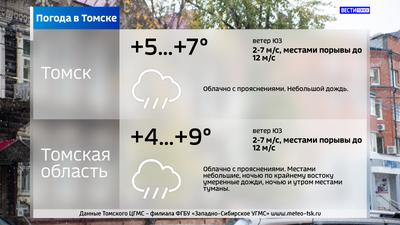 В Томске в предстоящие выходные ожидается дождь и +20 градусов | АиФ-Томск  | Дзен