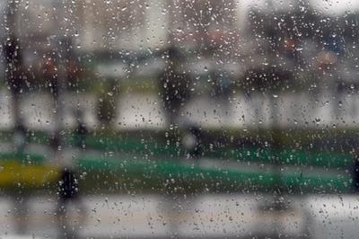 Сильный ветер, дождь и грозы: прогноз на понедельник в Томске — TOMSK.RU