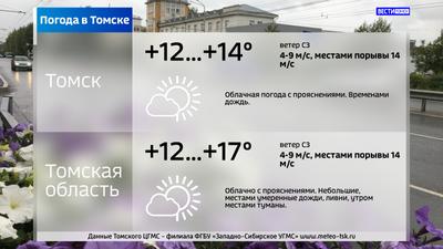 Синоптики прогнозируют до +7 градусов и дождь в Томске 5 октября | ОБЩЕСТВО  | АиФ Томск