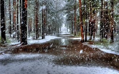 Ученые выяснили, почему зимой начали идти дожди, а летом снег