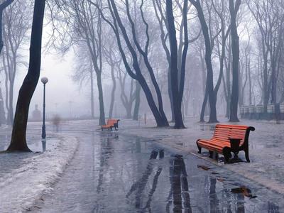Календарная зима начнётся в Омске с дождя — KVnews.ru