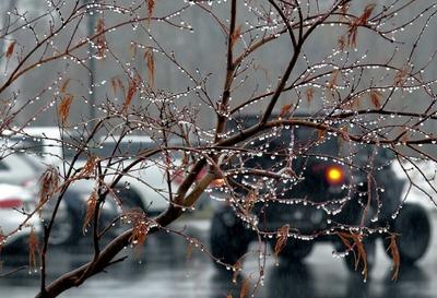 Дождь зимой картинки фотографии