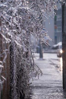 Мелкий дождь со снегом или мелкий снег с дождем - что выберут липчане —  LipetskMedia