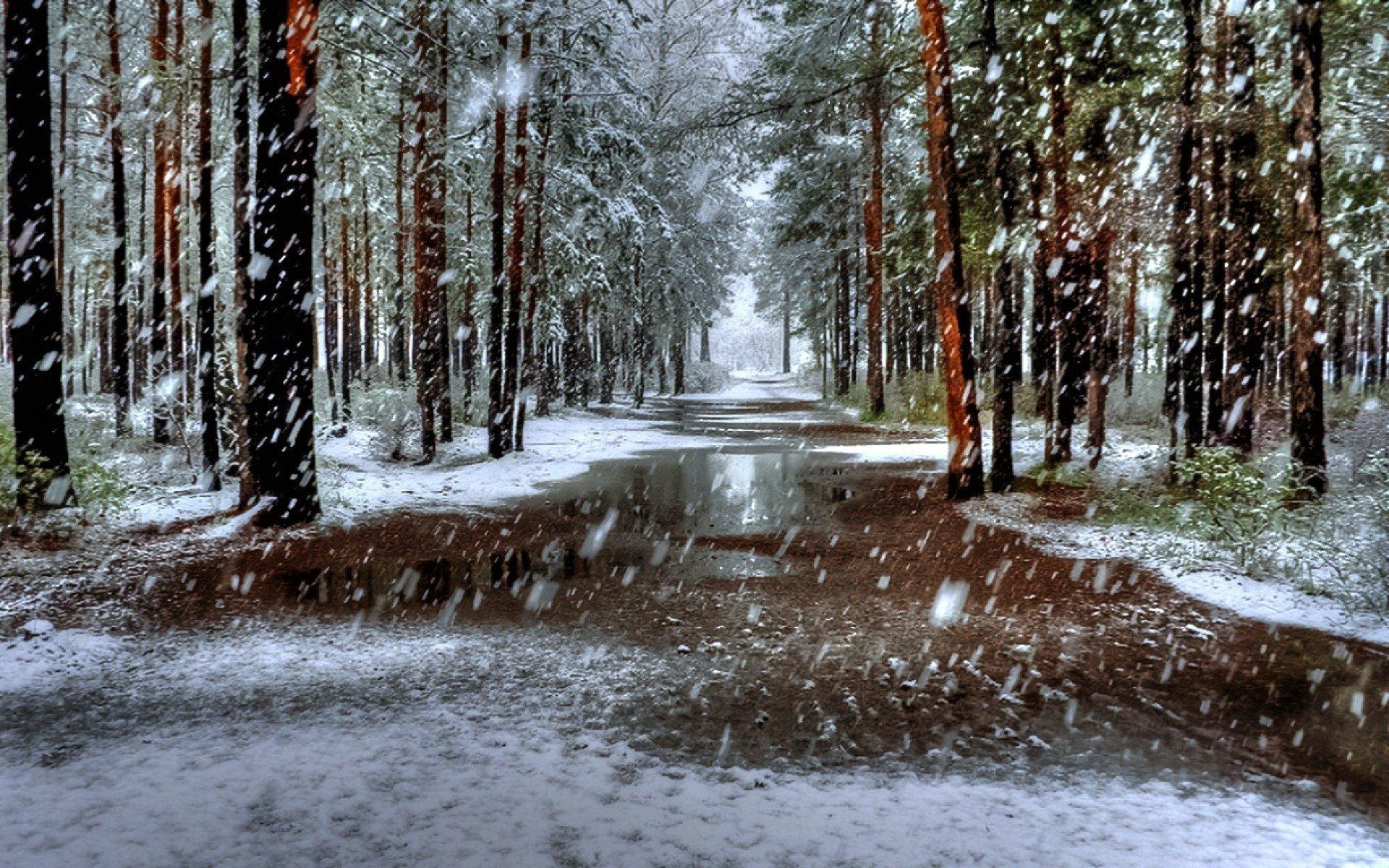 Дождливая зима картинки фотографии