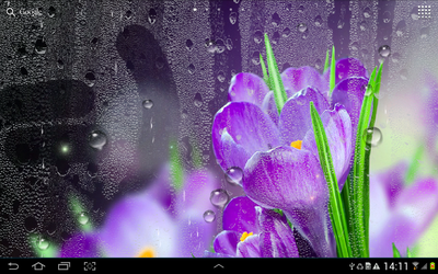 Скачать Дождь Живые Обои 1.1.18 для Android