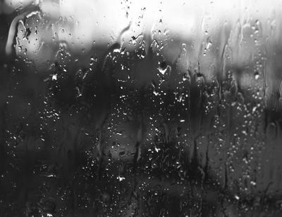 Капли жизни: Фотографии, которые оживают под дождем | Эффект дождя Фото  №1367245 скачать