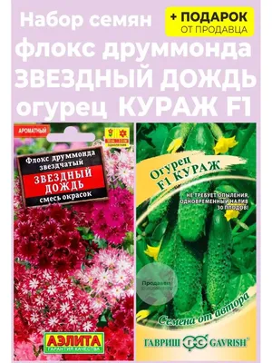 Флоксы однолетние Агрофирма Аэлита Однолетник - купить по выгодным ценам в  интернет-магазине OZON (1025238514)