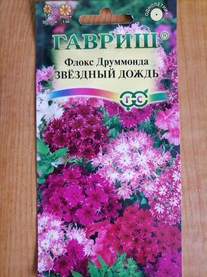 Семена Флокс Звездный дождь, смесь сортов купить по цене 44 ₽ в  интернет-магазине KazanExpress