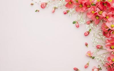 весна-цветы-обои-розовый-цветущий-цветы-телефон-обои-синий-фон | Spring  wallpaper, Flower phone wallpaper, Spring flowers background