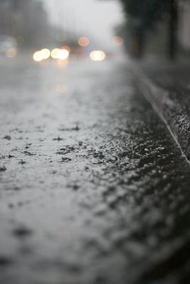 Дождь на улице Бесплатная загрузка фотографий | FreeImages