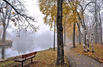 проливной дождь и лужи в парке Стоковое Изображение - изображение  насчитывающей тротуар, выплеск: 216363861
