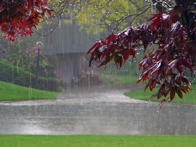 Дождь в парке в летний жаркий …» — создано в Шедевруме