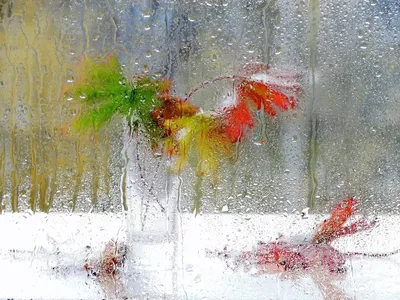 Стекло в дожде: Загадочные фотокартины | Дождь за стеклом Фото №1366237  скачать