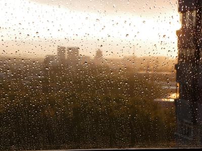 Дождь Падает На Мокрое Окно И Белые Цветы За Мокрым Стеклом Окна Капли Дождя  Концепция Дождливой Погоды Сезонов Современного Города Абс — стоковые  фотографии и другие картинки Дождь - iStock
