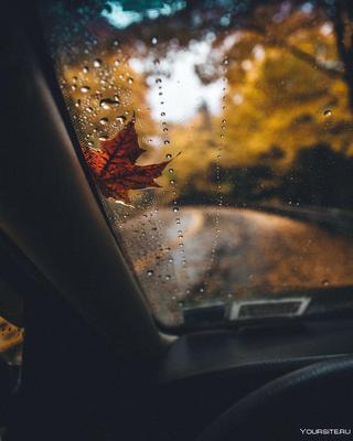 Окна машины мокрые от дождя Фон И картинка для бесплатной загрузки - Pngtree
