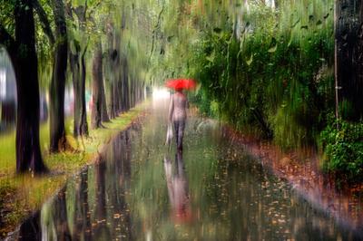 текстура дождя падает на окно лета Стоковое Фото - изображение  насчитывающей лето, дождь: 107895852