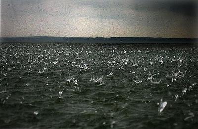 Дождь в море, шторм, реализм, много…» — создано в Шедевруме