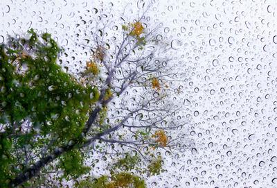 Иллюстрации к стихотворению \"Весенний дождь\" (97 фото)