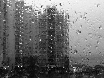 Дождь за окном | Смотреть 38 идеи на фото бесплатно