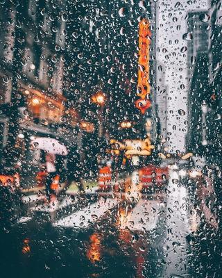 У природы нет плохой погоды: 10 причин полюбить дождь | theGirl