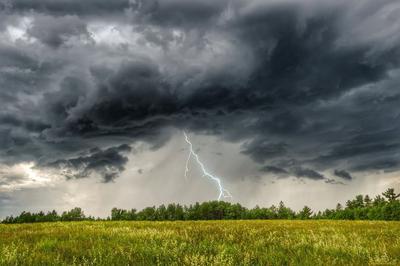 Сильный дождь, ветер и гроза пришли в Тверскую область | официальный сайт  «Тверские ведомости»