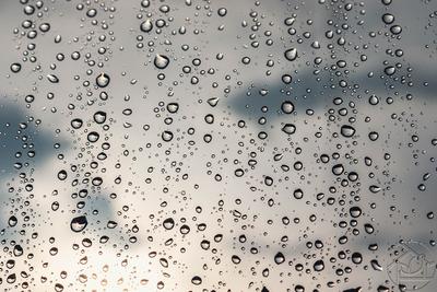 Картины Дождь \"Капли дождя на стекле\" - арт 009005001 | Купить в  интернет-магазине Фото в дом - Фото в дом