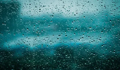 Фотообои \"Стекающие капли дождя на стекле\" - Арт. 150664 | Купить в  интернет-магазине Уютная стена