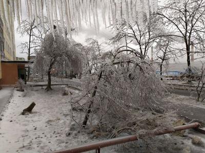 Ледяной апокалипсис-2020 во Владивостоке, как это было