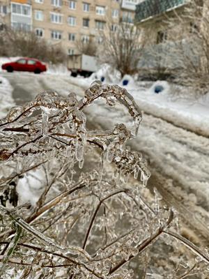 Что такое ледяной дождь и чем он опасен - РИА Новости Крым, 12.02.2024