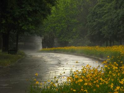 Фото летний дождь