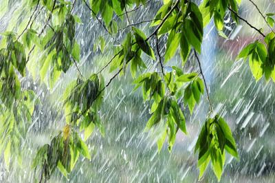 Летний дождь | Летний дождь, Эстетика, Дождь