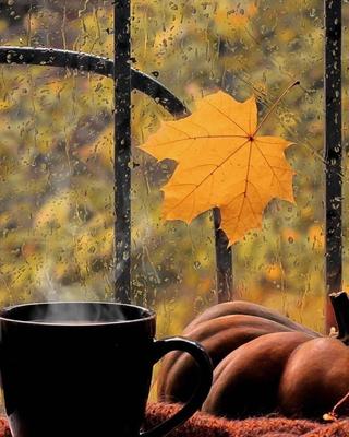 Осенний привет осенний дождь девушка зонтик PNG , падение, Осенний дождь,  Держите зонтик Иллюстрация Изображение на Pngtree, Роялти-фри