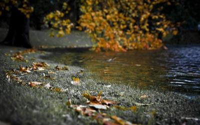 Осень дождь грусть (60 фото) - 60 фото