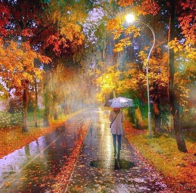Осень, ложь, дождь, грусть» — создано в Шедевруме