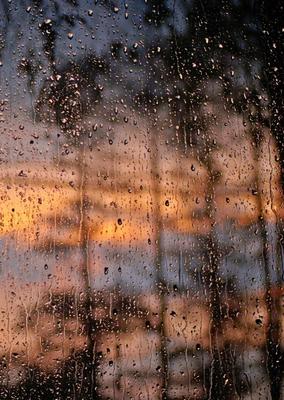 Осенний дождь за окном (74 фото)