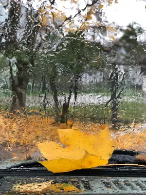 Осень дождь за окном - красивые фото