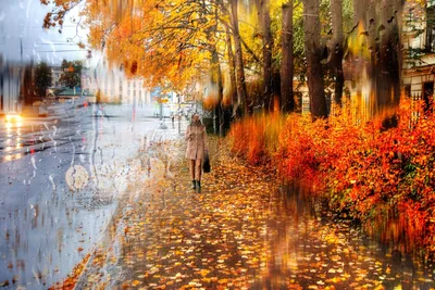 Стихотворение «Осенний дождь», поэт Коновалова Наталия
