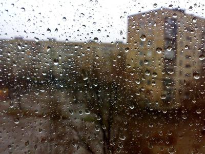 Живые обои природа - Дождь за окном
