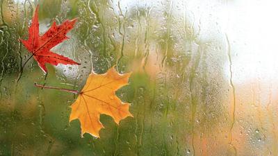 Фото дождливой погоды: Впечатления осени | Осень дождь грусть Фото №1366702  скачать