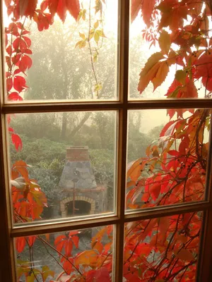 Осенний дождь за окном - 64 фото