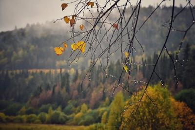 Красивые картинки осень за окном (77 фото)
