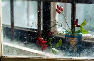 А за окном осенний дождь... — конкурс \"Дождливый день\" — Фотоконкурс.ру