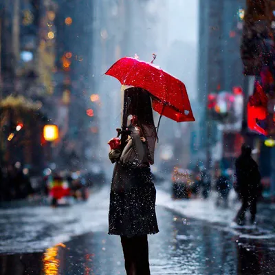 Фото дождя и зонта в разных форматах | Под дождем с зонтом Фото №1366829  скачать