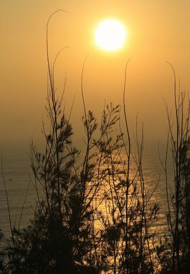 Бесплатное изображение: Восход солнца, grasst, Рассвет, солнце, пейзаж,  природа, дерево, небо, силуэт