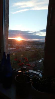 Вид из окна рассвет утро (32 фото)